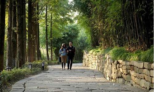 乌镇十天天气预报_乌镇10天天气预报