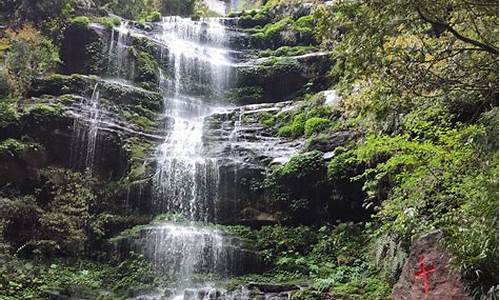 雅安碧峰峡风景区门票多少钱一张_雅安碧峰峡门票多少钱