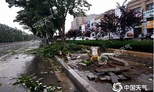 葫芦岛今天下雨时间查询_葫芦岛今天有雨