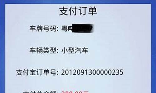 广东省交通违章掌付通_广东省违章查询掌付通