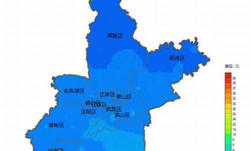 武汉新洲天气预报15天_武汉新洲天气预报15天查询百度