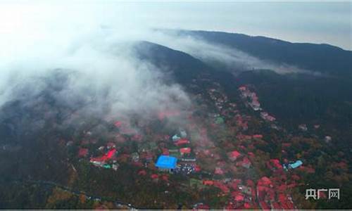 江西庐山天气7天查询预报表_江西庐山天气