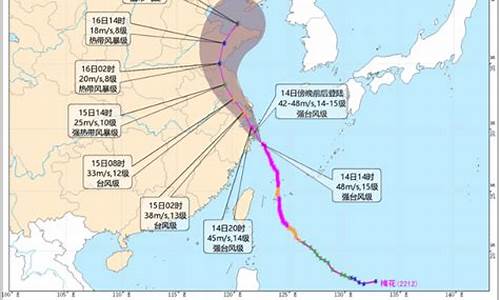 浙江台风路径图实时路径_浙江台风路径实时发布系统2021