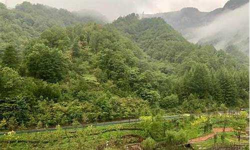 湖北神农架温度未来一周天气_湖北神农架气温近七天