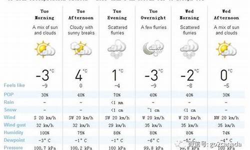 加拿大多伦多天气预报一周天气_加拿大多伦多天气预报一周