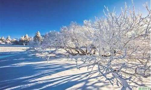 长春天气30天查询_长春天气30天查询结果